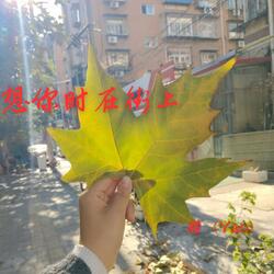 想你时在街上