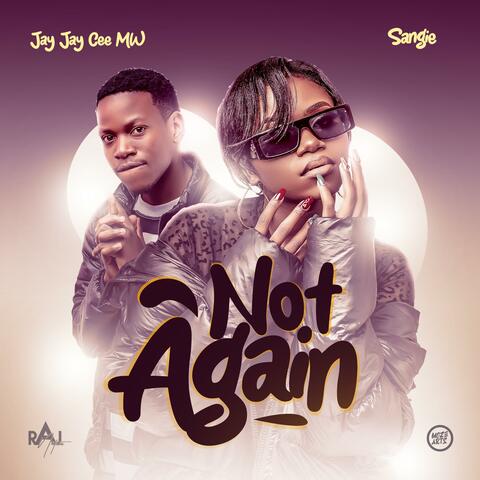 Not Again (feat. Sangie)