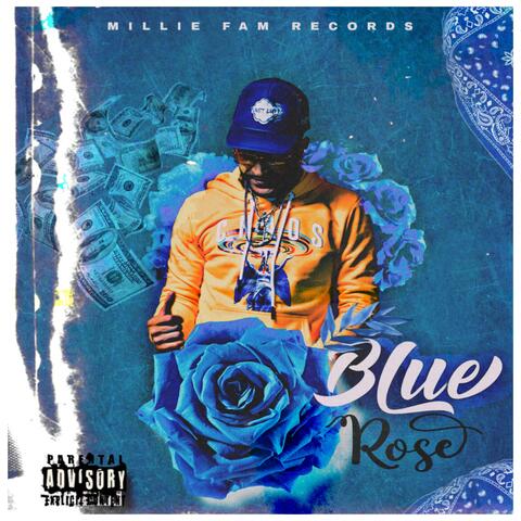 Blue Rose