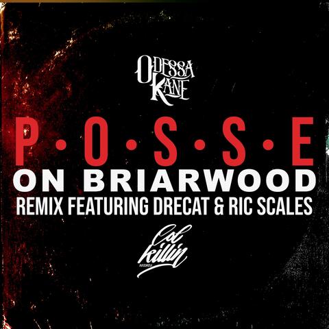 Posse On Briarwood (feat. Drecat & Ric Scales)