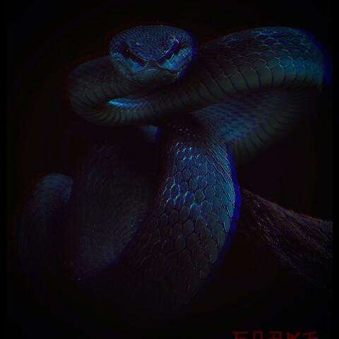 Snåke (Remember Me Freestyle)