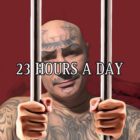 23 HOURS A DAY