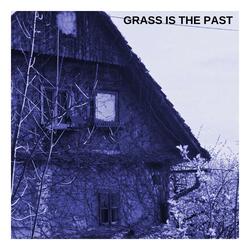 Grass Is the Past (feat. Neža Okorn)