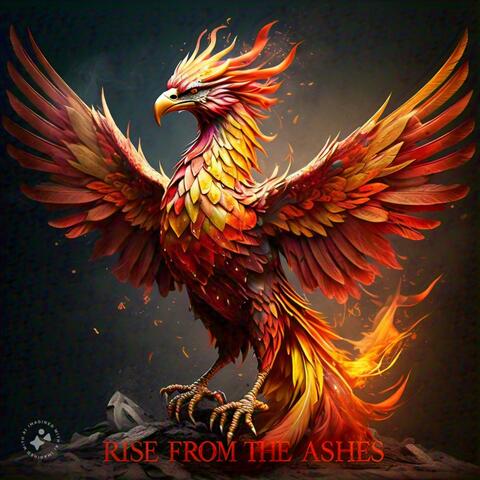Rise From The Ashes