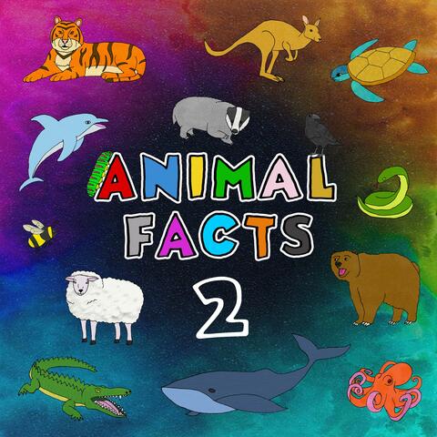 Animal Facts 2