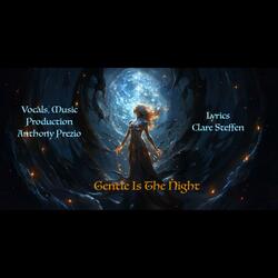 Gentle Is The Night (feat. Anthony Prezio)
