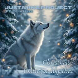 Christmas, I miss you like that