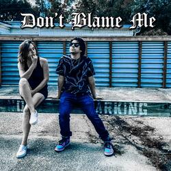 Don't Blame Me (feat. Mike Linsky)