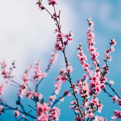 I Don't Understand But I Luv U