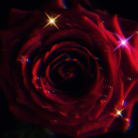 The Rose Blooms (Remastered)