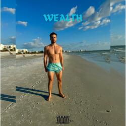 Wealth
