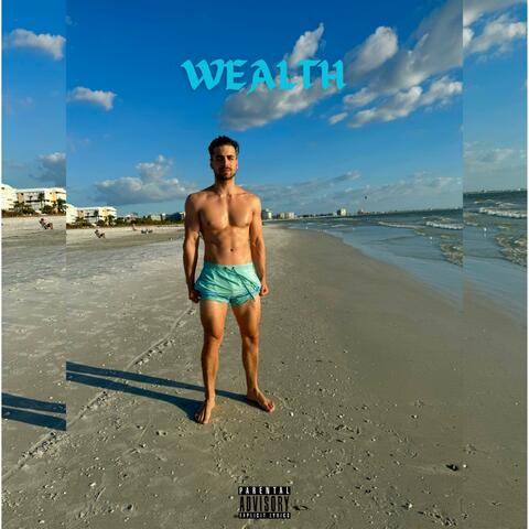 Wealth