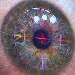 Cynical (feat. Backwhen)