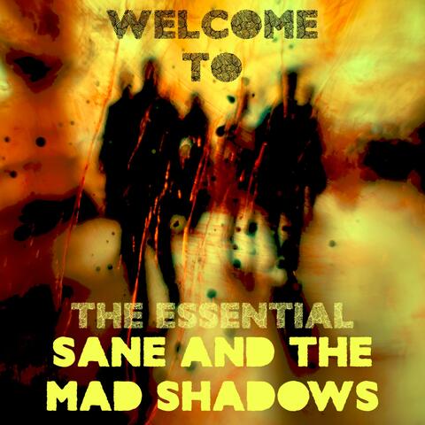 Welcome to The Essential Sane and the Mad Shadows