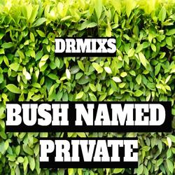 Bush Named Private / Sex Comedy