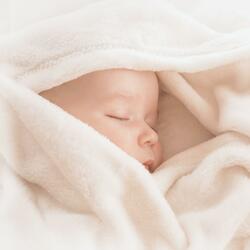 Oh My Kind Teddy Bear