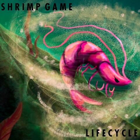 Life Cycle | From SHRIMP GAME (Original Game Soundtrack)