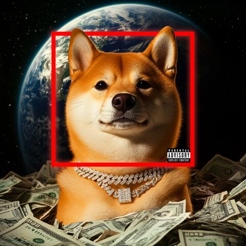 DogeCoin