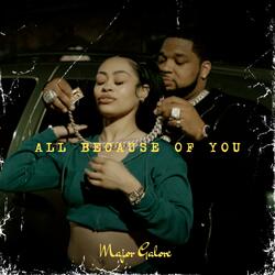 ALL BECAUSE OF YOU