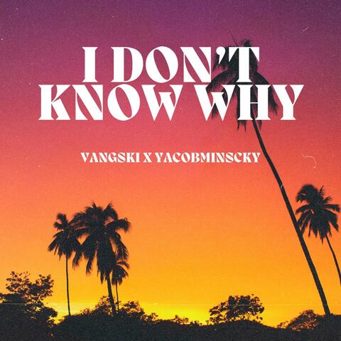 I Don't Know Why (feat. Yacobminscky)