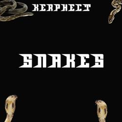 SNAKES