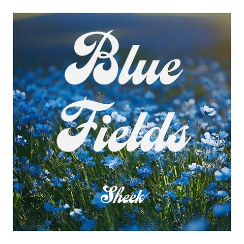 Blue Fields (feat. Montahj)