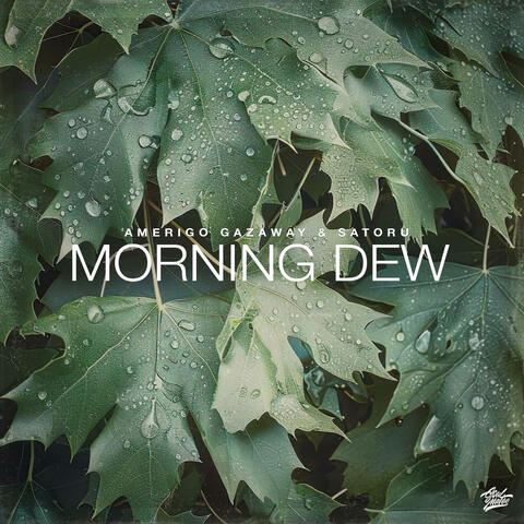 Morning Dew