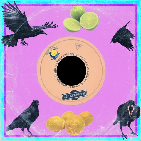 A Murder Of Crows / The Angry Song