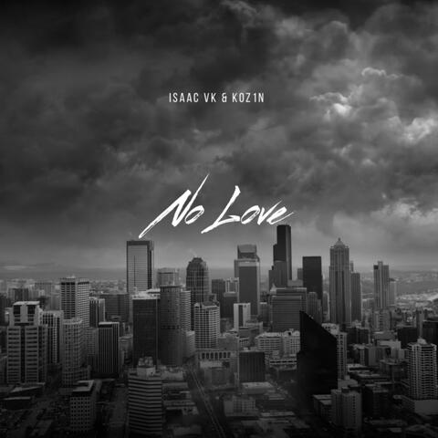 No Love (feat. evankoz1n)