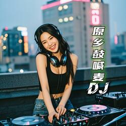 原乡鼓喊麦dj