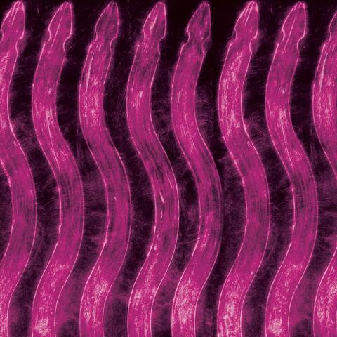 Neon Nightmares