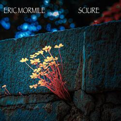 Sciure