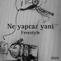 Ne Yapcaz Yani (Freestyle)
