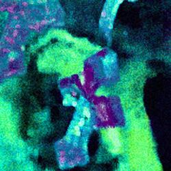 OCZY (feat. crest, łyda & łyda)