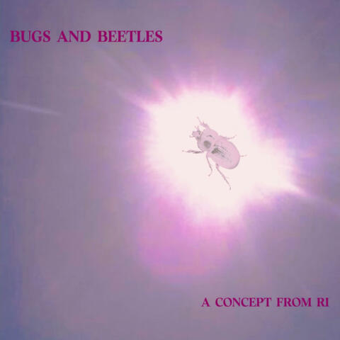 bugs and beetles