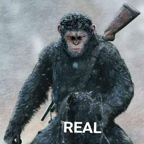 Real