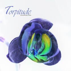 Torpitude