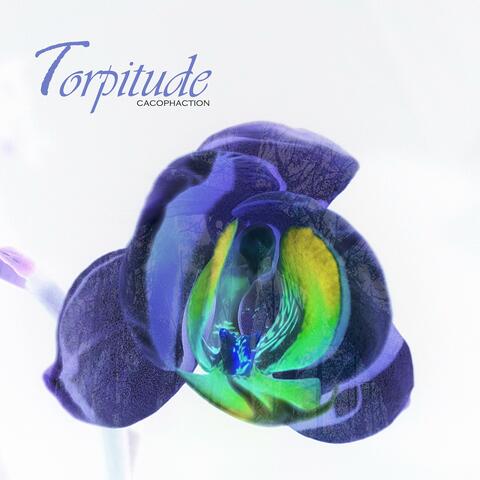Torpitude