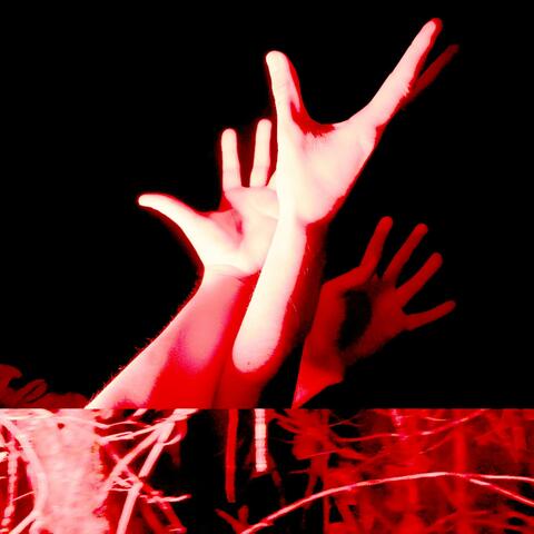 The Places You've Bled