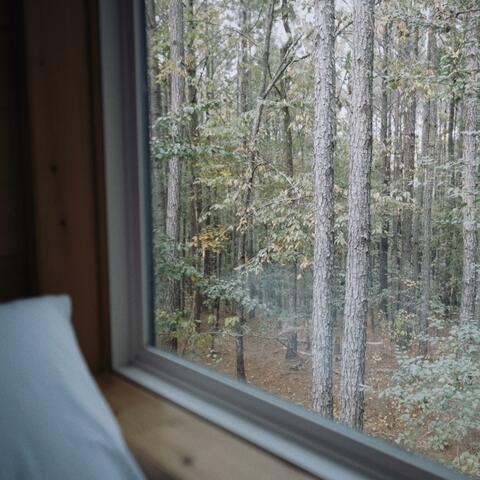 Postcards to Myself From a Cabin in the Forest