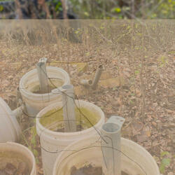 Nighttime walk never belong