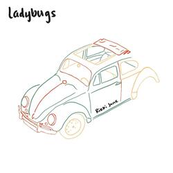 Ladybugs