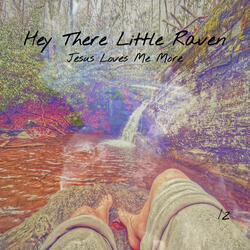 Hey There Little Raven