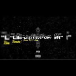 Like I Never Left (feat. Pgo Melvin)