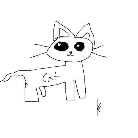 cat