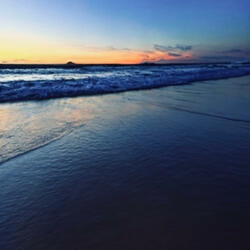 Lonely
