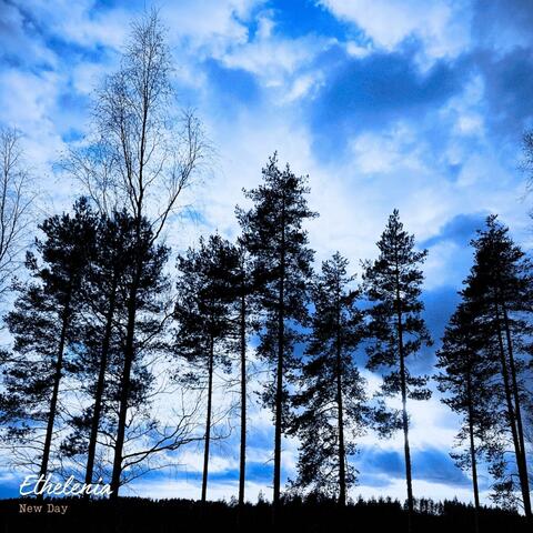 New Day
