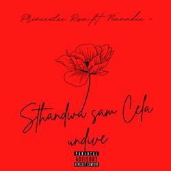 Sthandwa sam Cela undive (feat. Nanadee)