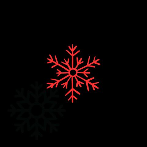 SNOWFLAKES