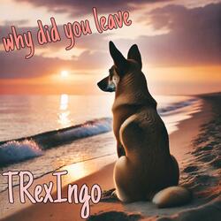 Why Did You Leave